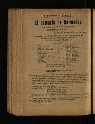 Cuadro único