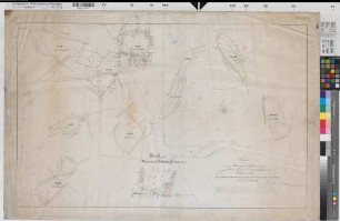 Eisborn (Balve) Volkringhausen (Balve) Waldparzellen des Freiherrn von Landsberg 1831 1 : 2500 57 x 96 kol. Zeichnung Möllendorff, Geometer Landsberg-Velen Nr. 196