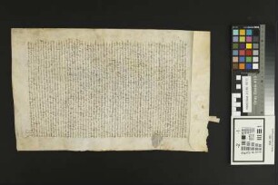 Hohen-Sülzen: Propstei St. Andreas zu Worms verleiht Güter zu Hohensülzen