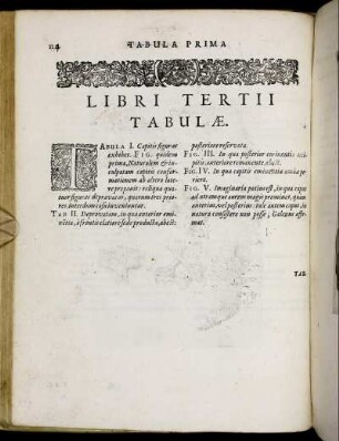 Libri Tertii Tabulæ.