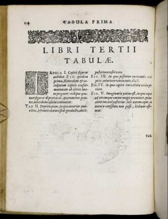 Libri Tertii Tabulæ.