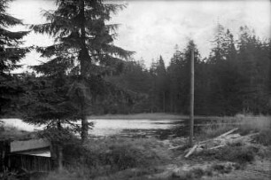 Am Tiefenbacher Teich : Teich und Wasserlauf (Hammergraben -TD-) für Schmalzgrube
