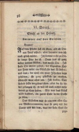 VI. Brief. Strahl an den Hofrath