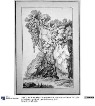 Bewachsene Felsengruppe bei Valmontone