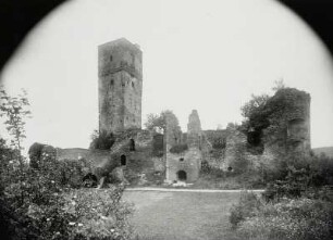Königstein im Taunus, Burg : Königstein im Taunus. Burgruine. Ansicht von Süden