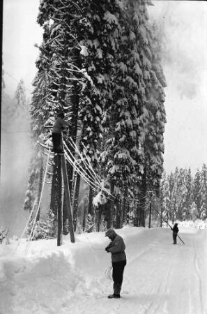 St. Blasien - Todtmoos: Straße; Bautrupp beseitigt Schneeschäden an Telefonleitungen