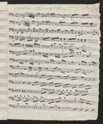 23-30 Violone