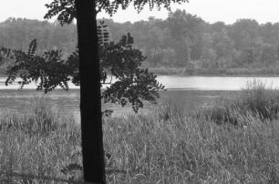 Sicherstellung des Erlachsees und seiner Ufer im Zusammenhang mit der geplanten Ausweisung des Sees als Naturschutzgebiet