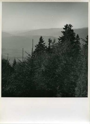 Böhmerwald, Tschechien, Böhmen und Mähren
