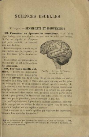 Sciences usuelles