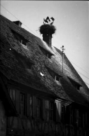 Bahlingen: Storchennest