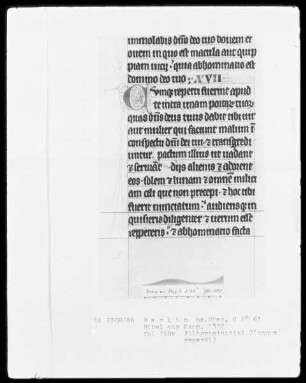 Camper Bibel, die zwei fragmentarisch erhaltenen Bände — Camper Bibel, Band 1 — Initiale C (umque), Folio 159 verso