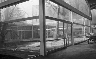 Neubau Nancyhalle.