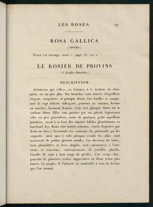 91-92, Rosa Gallica (caerulea.) Le Rosier de Provins (à feuilles bleuâtres.)