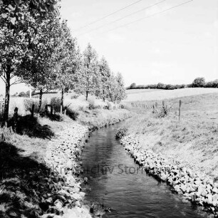 Norderbeste: vorn Böschung nach Besatz mit Feldsteinen: links an Böschung Baumreihe: rechts auf Böschung Zaun: hinten Wiesen, Felder und Knicklandschaft