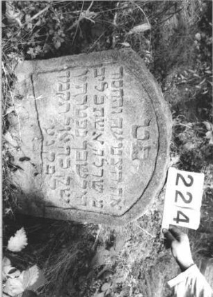 Grabstein 224