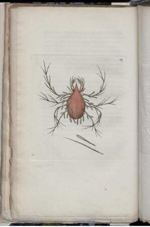 [Abb. 187]