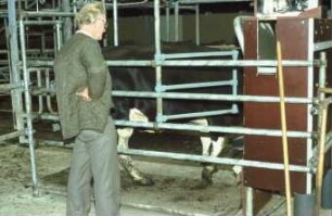 Fotografie: Fütterungstechnik, Milchviehhaltung, Kraftfutterautomat, Abrufstation, Tierwaage