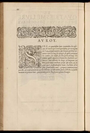 Av Roy