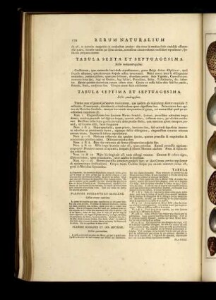 Tabula Sexta Et Septuagesima. [bis] Tabula Octogesima Et Octava.