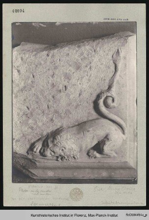 Fragment mit Löwenmotiv