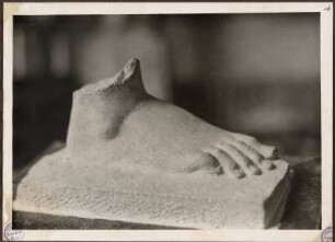 Antiker Fuß : Antiker Fuß. Marmor. 5. Jahrhundert vor Christi. Fotografie (17,9 x 13 cm). ehem. Besitz Max Klingers, Abbildung 16 aus: Fotoalbum von 1931 zum Verkauf angebotenen antiken Gegenständen. Dresden: SLUB Mscr.Dresd.App.1353,D,III,a-l