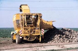 Fotografie: Erntetechnik, Zuckerrübenvollernter, Mietenlager, Be- und Entladen