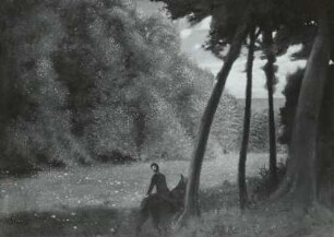 Reiter im Walde