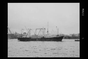 Susanne Reith (1958), Orion, Hamburg