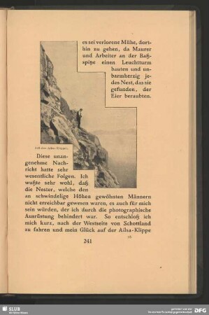 Auf den Ailsa-Klippen