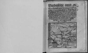 Warhafftige vnnd erschrockenliche newe Zeytung von dem grossen vnd gewaltigen zulauff des Wasserfluß der statt Dieterich Bern im Welschlandt vnnd von dem grossen schaden, so es ... daselbst gethon ... : Geschehen den 30. vnd 31. tag Octobris, des 1567. Jars