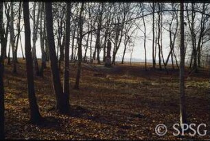 Potsdam, Park Sacrow, Senke bei der Thusnelda-Statue.