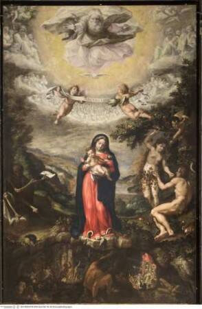Maria Immaculata