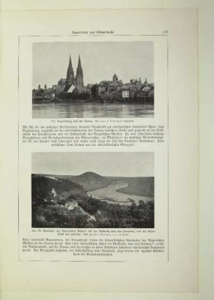 226. Die Ausläufer des Bayerischen Waldes mit der Walhalla und das Donautal, von der Ruine Stauf aus gesehen