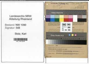 Entnazifizierung Karl Stolz , geb. 16.03.1895 (Kaufmann)