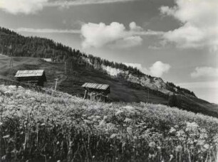 Frühsommer im Oberinntal