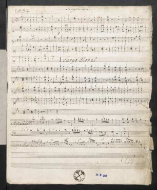 Singstimmen