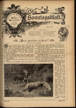 Ausgabe vom Sonntag, den 14. Juli 1895.