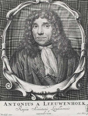Leeuwenhoek, Anthonius van