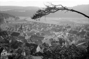 Fridingen: Blick von oben auf Fridingen, Vordergrund Kiefernast