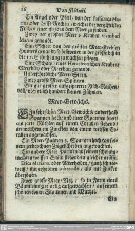 Meer-Gewächs