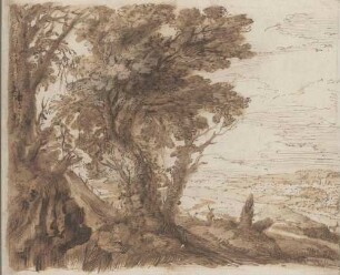 Baumgruppe vor weiter Landschaft