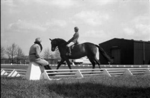 Warendorf, Freiherr-von-Langen-Straße 13. Reitsportanlage des Deutschen Olympia-Komitees für Reiterei. Jockey beim Reiten auf dem Trainingsplatz