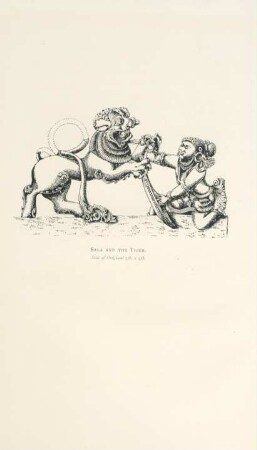 Sala and the tiger