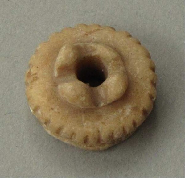 Spin whorl (?) or shell bead (?)