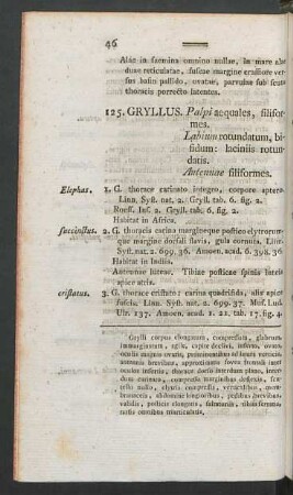 125. Gryllus. - 134. Ascalaphus.