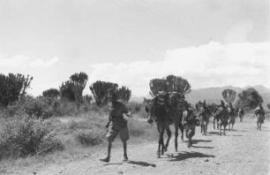 Italienische Kolonialsoldaten : Italienische Kolonialsoldaten auf einer Landstraße