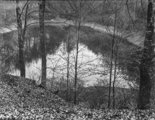 See im Wald : Blick auf einen See in einem Wald