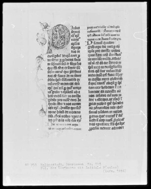 Brevier, Ms. 115, folio 84 verso, Textseite mit Initiale P(aulus)