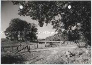 Schleswig-Holstein